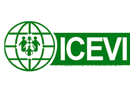 Imagen del logo de ICEVI Global